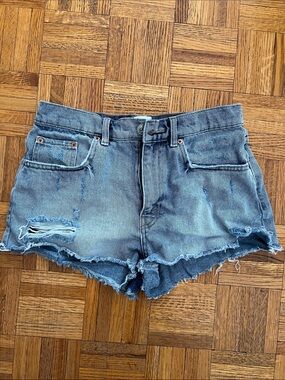 BDG Distressed Denim Shorts - Blue